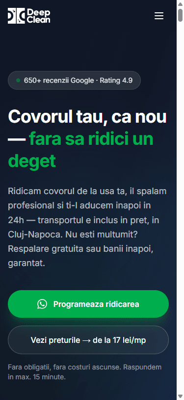 Deep Clean — Spalatorie Covoare Cluj - Mobile